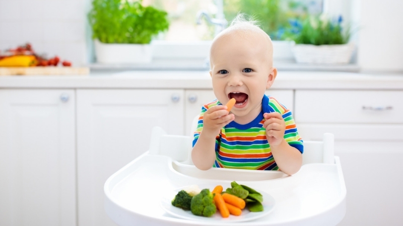 20 dicas introdução alimentar tops - bebê comendo