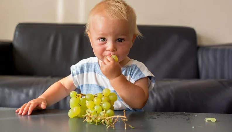 bebê comendo uvas na introdução alimentar