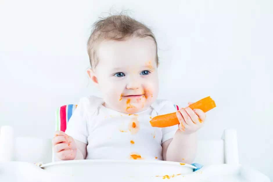 bebe comendo cenoura na introdução alimentar